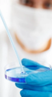 Overview Perspective of Bacterial Strategies of Resistance to Biocides and Antibiotics