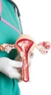 Oxamflatin Induces E-cadherin Expression in HeLa Cervical Carcinoma Cells