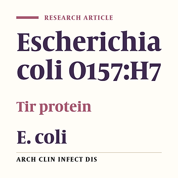 Immunogenical Study of Chimeric Recombinant Intimin-Tir of Escherichia coli O157:H7 in Mice