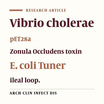 Expression of Recombinant Zonula Occludens Toxin (Zot) of Vibrio Cholerae and Biological Activity on Rabbit Ileal Loops