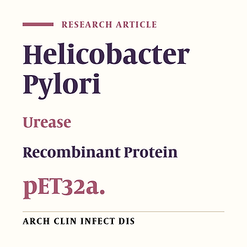 Cloning and Expression of Helicobacter Pylori UreB122(a Segment of the B-subunit of Urease Gene)
