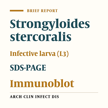 Identification of Infective Larva (L3) Proteins of Strongyloides Stercoralis by Immunoblot