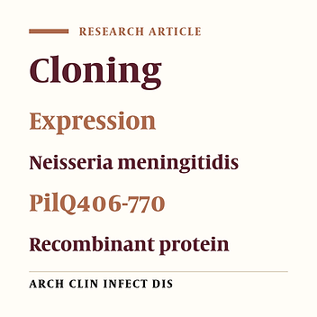 Cloning, Expression and Purification of Outer Membrane Secretin PilQ406-770 of Neisseria Meningitidis Serogroup B