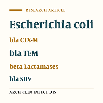 Frequency of bla TEM, bla SHV, bla CTX-M, and qnrA Among Escherichia coli Isolated From Urinary Tract Infection
