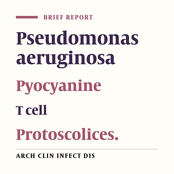 Immunosuppressive Effect of Purified Pyocyanine Pigment on T-Lymphocytes Viability Against Experimental Infection with Hydatid Cyst Protoscolices