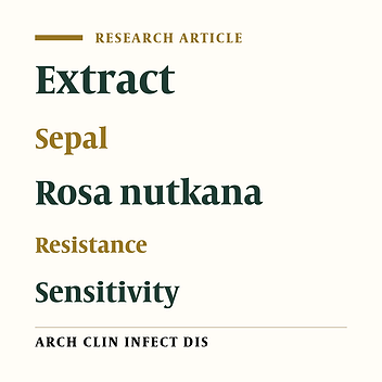 Comparison of Rosa Nutkana Sepal Extract with Synthetic Antibiotics for Treatment of Methicillin Resistant Staphylococcus Aureus Isolated from Patients with Sty