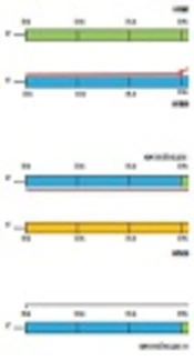 Co-Circulation of Echovirus 6 and 30 with Coxsackievirus A6 Among Children with Hand, Foot, and Mouth Disease in Ahvaz, Southwest Iran