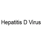 Hepatitis D Virus Infection Should Be Studied in Patients with Hepatitis B Virus Infection