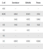 High Prevalence of Drug-Resistant Gram-Negative Bacteria: A Hospital-Based Cross-Sectional Study in Tehran, in 2017
