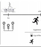 Hydrolyzed Collagen Supplementation on Lower Body Stiffness in Recreational Triathletes