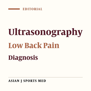 Suggested Applications of Musculoskeletal Ultrasound to Identify the Etiologies of Low Back Pain