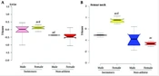 Comparing the Effects of Swimming Among Male and Female Elite Athletes on Bone Mineral Density Acquisition