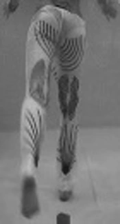 Cover image of the article: Underwater Walking Intensity is Modified by a New and Untested Device that Increased the Lower Limb Surface of Movement