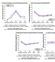Comparative Effects of Vibration and Mechanical Massage on Exercise-Induced Delayed-Onset Muscle Soreness in Sedentary Students: A Randomized Controlled Trial