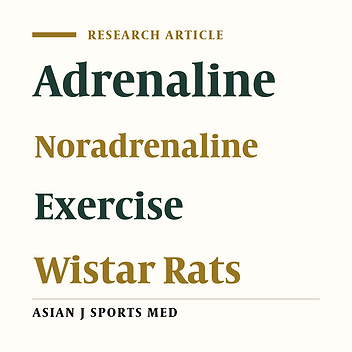 Influence of Endurance Exercise Overloading Patterns on the Levels of Left Ventricular Catechoamines After a Bout of Lactate Threshold Test in Male Wistar Rat