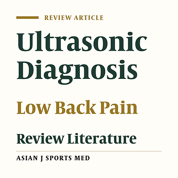 The Role of Ultrasound in Diagnosis of the Causes of Low Back Pain: a Review of the Literature