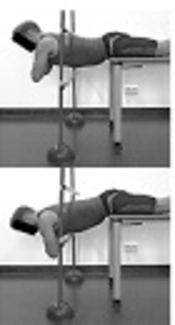 Differences in Anthropometric Characteristics and Physical Capacities Between Junior and Adult Top-Level Handball Players