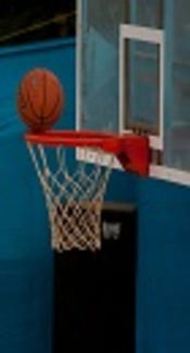 Cover image of the article: Analysis of Influence of Basketball Game-Related Statistics on Final Result Based on Differences at the 2017 FIBA Asia Cup