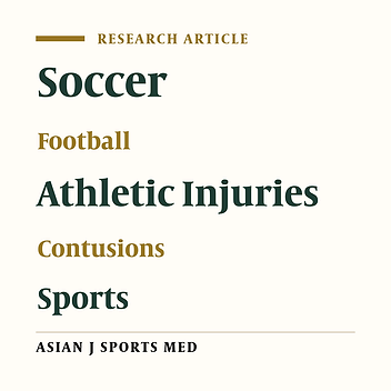 Injury Profile of a Professional Soccer Team in the Premier League of Iran