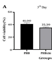Investigating the Viability of Human Gingival Fibroblast Cells in a Polyhydroxybutyrate/Chitosan/Bioglass Nanoparticles Scaffold