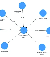 Evaluation of the Quality of Care of Type 2 Diabetic Patients and Some Related Factors Using Structural Equation Modeling