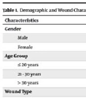 Antibiotic Prophylaxis for Simple Traumatic Wounds in the Emergency Department: A Cross-Sectional Study in Abadan and Khorramshahr, Iran