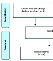 The Impact of NIDCAP on Parental Stress in the NICU: A Narrative Review