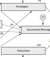 The Modeling of Succession Management in the Faculty Members of Kermanshah University of Medical Sciences: A Grounded Theory