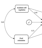 The Role of Academic Motivation in Self-Regulation, Goal Orientation, and Passion Among Medical Students with Self-Handicapping Behaviors