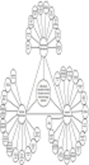 Cover image of the article: A Strategic Approach to the Effectiveness Evaluation of Higher Education Curricula: Implications for Medical Education