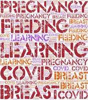 Cover image of the article: To the Editors of the Journal of Fertility, Gynecology, and Andrology