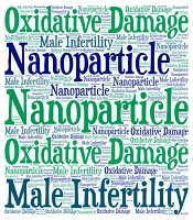 The Antioxidant Effect of Diamond Nanoparticles on Testicular Tissue