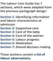 The World Health Organization Labor Care Guide