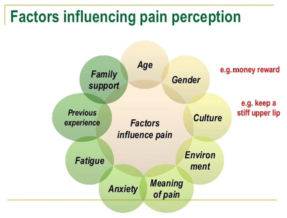 Factors affecting pain perception (<a href="#A151749REF22">22</a>) Factors affecting pain perception (<a href="#A151749REF22">22</a>)