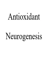 Cover image of the article: Antioxidants Can Mitigate Decreased Neurogenesis of Neural Stem Cells During Noise Stress