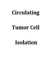 Cover image of the article: An Updated Review of Methods, Challenges, and Future Perspectives of Circulating Tumor Cell Isolation: Focusing on the Use of Nanomaterials