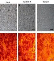 Gene, Cell and Tissue