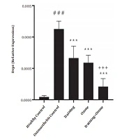 The Effect of Aerobic Training and Ozone Therapy on the Levels of MFN1 and DRP1 Gene Expression in the Heart Tissue of Rats with Osteoarthritis