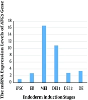 Evaluation of ATG5 Gene Expression in Human Induced Pluripotent Stem Cells During Endoderm Induction