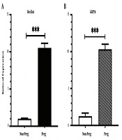 Transcriptional Levels of Autophagy and UPR Markers in the Brain and Liver of Pregnant Rats