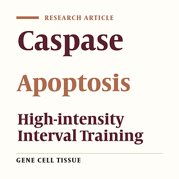 Effect of Interval Training and Curcumin on BAX, Bcl-2, and Caspase-3 Enzyme Activity in Rats
