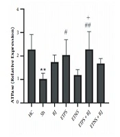 Cover image of the article: The Effect of Eight Weeks of Training on Positive and Negative Slopes with Royal Jelly Consumption on MGMT and ATPase Gene Expression Levels in the Hippocampus Tissue of Trimethyltin-Induced Alzheimer’s Rats