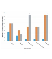 Investigation of Antimicrobial Activity of Medicinal Plant Extracts on Bacillus cereus Isolated from Soil