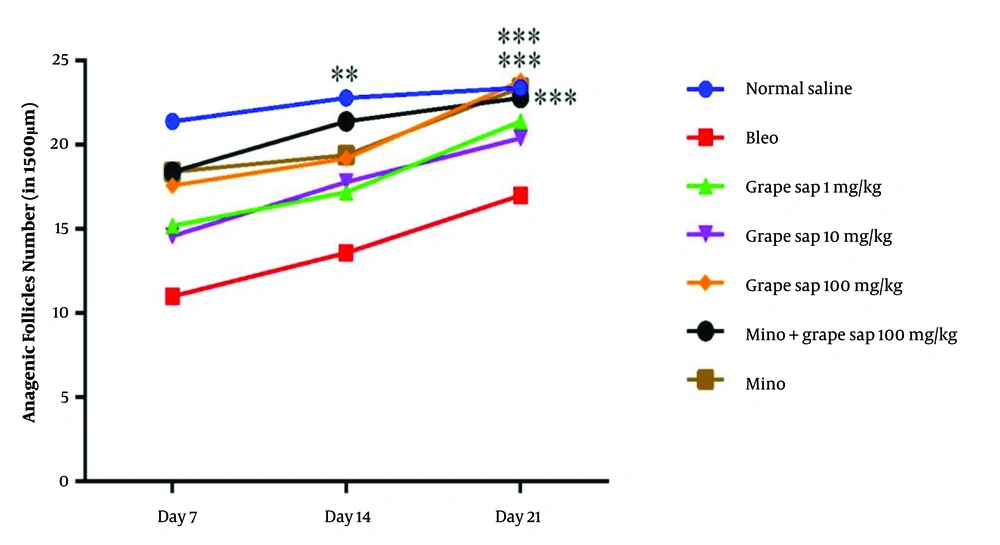 Mean number of hair follicles in 1500 μm in experimental groups on days 7, 14, and 21; there were significant differences between the experimental groups and the bleomycin-treated group in terms of the number of hair follicles (P < 0.001, P < 0.01, and P < 0.05). The results are presented as mean ± standard error of the mean and evaluated using a two-way analysis of variance. Mean number of hair follicles in 1500 μm in experimental groups on days 7, 14, and 21; there were significant differences between the experimental groups and the bleomycin-treated group in terms of the number of hair follicles (P < 0.001, P < 0.01, and P < 0.05). The results are presented as mean ± standard error of the mean and evaluated using a two-way analysis of variance.