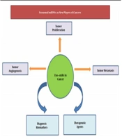 Exosomal miRNAs as New Players of Cancers: A Mini-Review Study