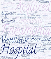 A Literature Review on Hospital-Acquired Pneumonia, Community-Acquired Pneumonia, and Ventilator-Associated Pneumonia