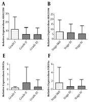 Evaluation of AK023391 lncRNA and FOXO3a Genes’ Expression in Tissues from Iranian Gastric Cancer Patients Compared with Healthy Tissues and Their Relationship with Clinicopathological Features