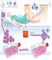 Gene Therapy: Applications, Insights and Prospects