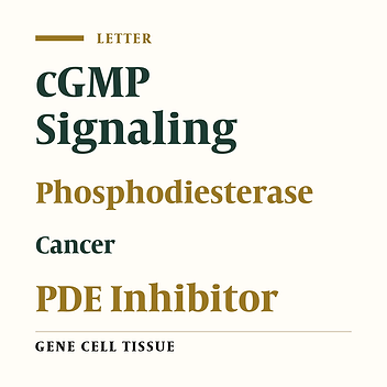 cGMP Phosphodiesterases (cGMP PDEs) As Therapeutic Targets in Cancer