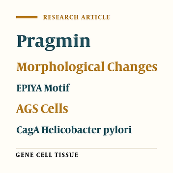 Evaluation of Cell- Morphological Changes by Helicobacter pylori CagA and Pragmin in AGS Human Gastric Carcinoma Cells
